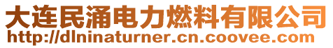 大連民涌電力燃料有限公司