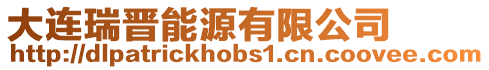 大連瑞晉能源有限公司