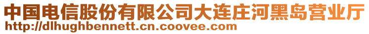 中國電信股份有限公司大連莊河黑島營業廳