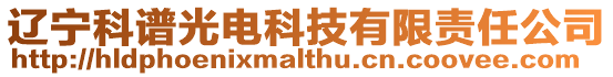 遼寧科譜光電科技有限責(zé)任公司