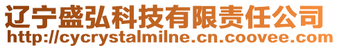 遼寧盛弘科技有限責任公司