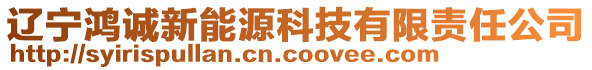 遼寧鴻誠新能源科技有限責任公司