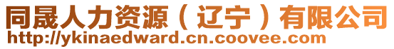 同晟人力資源（遼寧）有限公司