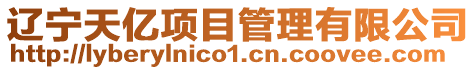 遼寧天億項目管理有限公司