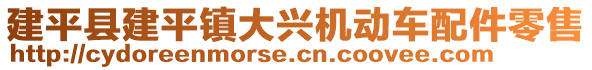 建平縣建平鎮(zhèn)大興機(jī)動(dòng)車配件零售