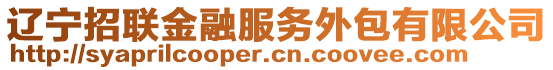 遼寧招聯(lián)金融服務(wù)外包有限公司