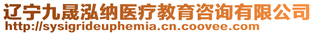 遼寧九晟泓納醫(yī)療教育咨詢有限公司