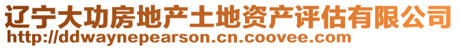 遼寧大功房地產(chǎn)土地資產(chǎn)評估有限公司