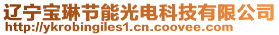 遼寧寶琳節(jié)能光電科技有限公司