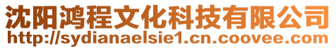 沈陽鴻程文化科技有限公司