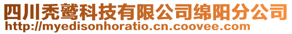 四川禿鷲科技有限公司綿陽分公司