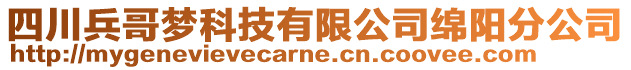 四川兵哥夢科技有限公司綿陽分公司