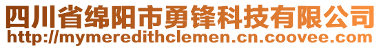 四川省綿陽市勇鋒科技有限公司