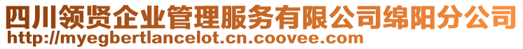 四川領賢企業(yè)管理服務有限公司綿陽分公司