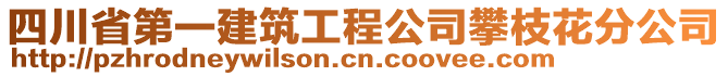 四川省第一建筑工程公司攀枝花分公司