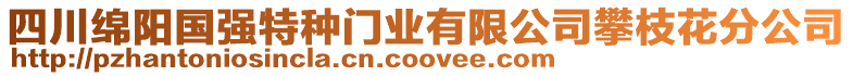 四川綿陽國強特種門業有限公司攀枝花分公司