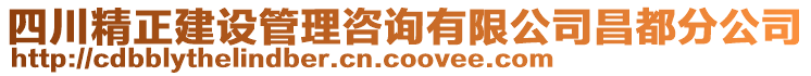 四川精正建設(shè)管理咨詢有限公司昌都分公司