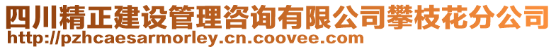 四川精正建設(shè)管理咨詢有限公司攀枝花分公司