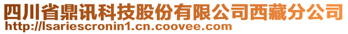 四川省鼎訊科技股份有限公司西藏分公司