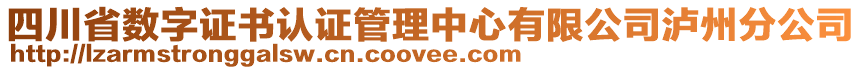 四川省数字证书认证管理中心有限公司泸州分公司