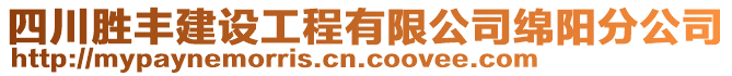 四川勝豐建設(shè)工程有限公司綿陽分公司