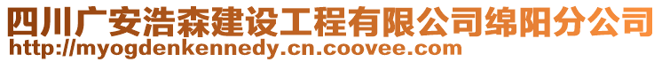 四川廣安浩森建設(shè)工程有限公司綿陽(yáng)分公司