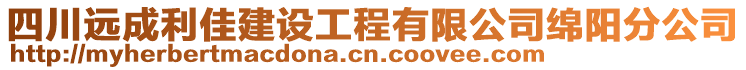 四川远成利佳建设工程有限公司绵阳分公司