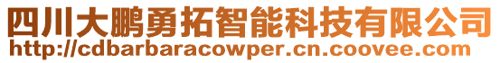 四川大鵬勇拓智能科技有限公司