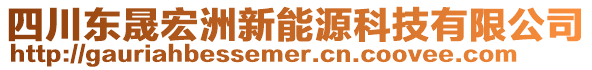 四川東晟宏洲新能源科技有限公司