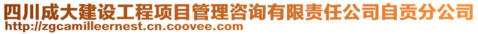四川成大建設工程項目管理咨詢有限責任公司自貢分公司