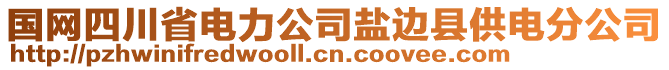 國(guó)網(wǎng)四川省電力公司鹽邊縣供電分公司