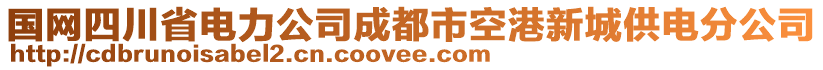 國網四川省電力公司成都市空港新城供電分公司