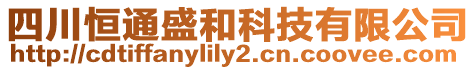 四川恒通盛和科技有限公司