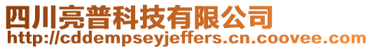 四川亮普科技有限公司