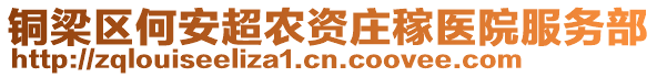 銅梁區(qū)何安超農資莊稼醫(yī)院服務部