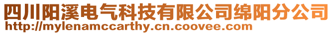 四川陽溪電氣科技有限公司綿陽分公司