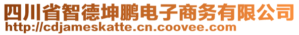 四川省智德坤鵬電子商務(wù)有限公司