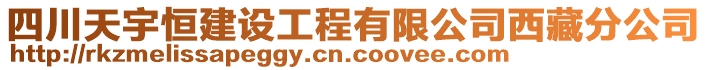 四川天宇恒建設(shè)工程有限公司西藏分公司