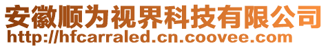 安徽順為視界科技有限公司