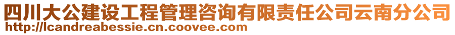 四川大公建設(shè)工程管理咨詢有限責(zé)任公司云南分公司