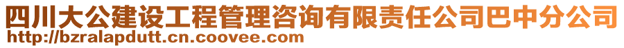 四川大公建設(shè)工程管理咨詢有限責(zé)任公司巴中分公司