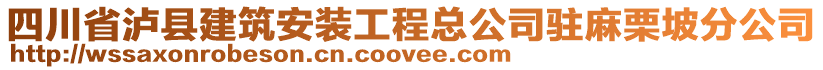 四川省瀘縣建筑安裝工程總公司駐麻栗坡分公司