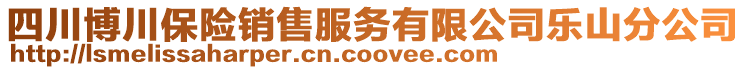 四川博川保險銷售服務(wù)有限公司樂山分公司