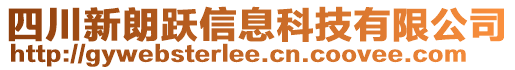 四川新朗躍信息科技有限公司