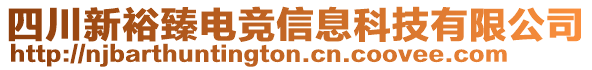 四川新裕臻電競信息科技有限公司