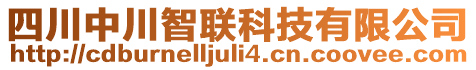 四川中川智聯(lián)科技有限公司