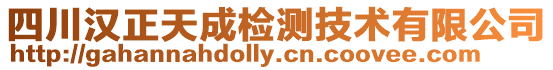 四川漢正天成檢測技術有限公司