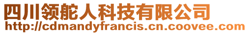 四川領舵人科技有限公司