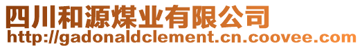 四川和源煤業(yè)有限公司