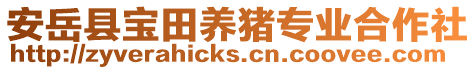 安岳縣寶田養(yǎng)豬專業(yè)合作社